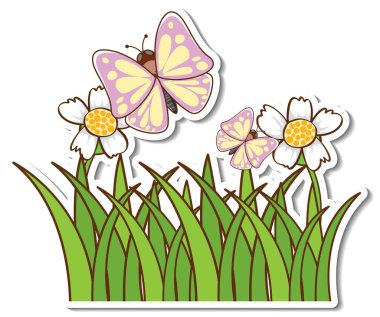 Birçok kelebek çim tarlasının üzerinde uçuyor.