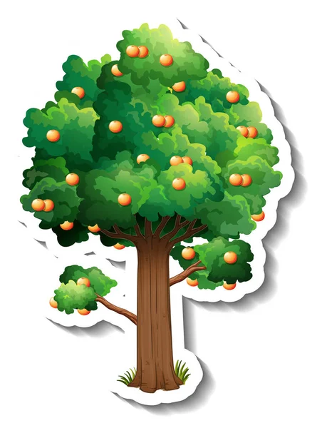 Orange Tree Sticker White Background Illustration — Stock Vector