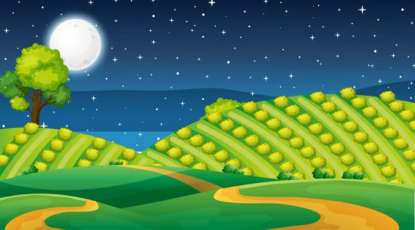 Leere Wiese Landschaft Szene Der Nacht Illustration — Stockvektor