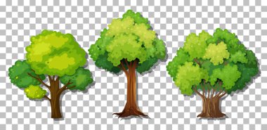 Saydam arkaplan illüstrasyonunda farklı ağaçlar kümesi