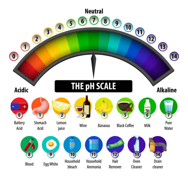 白地図のPhスケール図 — ストックベクタ