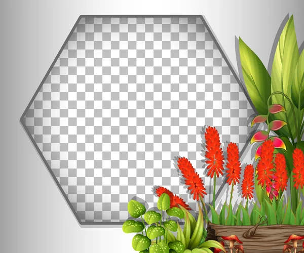 Marco Hexagonal Transparente Con Flores Rojas Hojas Plantilla Ilustración — Archivo Imágenes Vectoriales