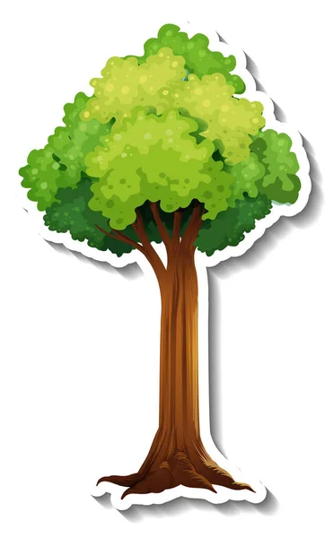 Ein Baum Mit Grünen Blättern Aufkleber Auf Weißem Hintergrund Illustration — Stockvektor