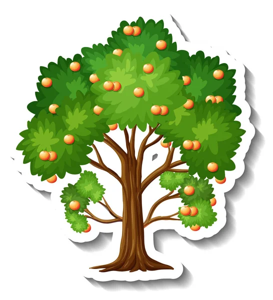 Orange Träd Klistermärke Vit Bakgrund Illustration — Stock vektor