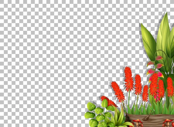 Bloemenkader Template Transparante Achtergrond Illustratie — Stockvector