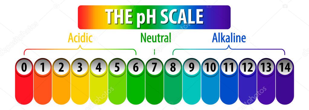 The pH Scale diagram on white background illustration
