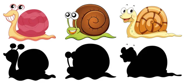 Set Different Snails Its Silhouette White Background Illustration — Stock Vector