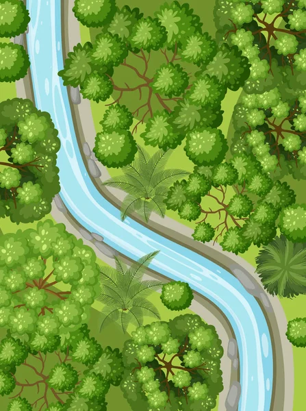 Luchtfoto Met Rivier Door Het Boslandschap Illustratie — Stockvector