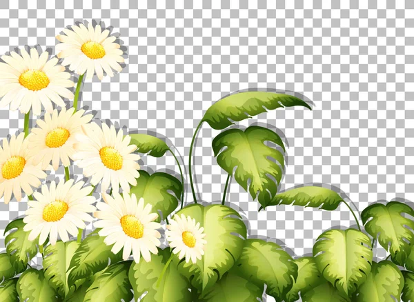 Witte Bloemen Frame Template Transparante Achtergrond Illustratie — Stockvector