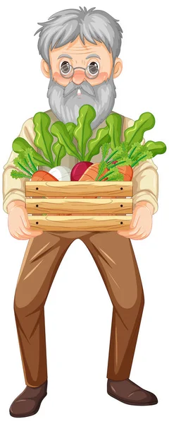 Starý Farmář Drží Dřevěnou Bednu Zeleniny Izolované Ilustrace — Stockový vektor