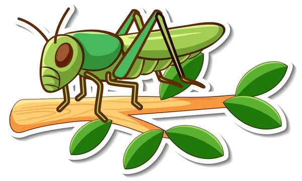 Cartoon Character Grasshopper Branch Sticker Illustration — Stock Vector