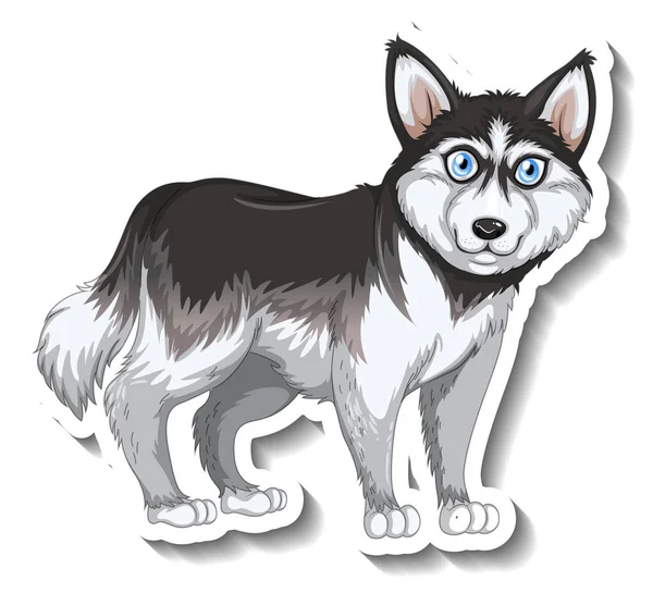 Design Adesivo Com Siberiano Cão Husky Ilustração Isolada —  Vetores de Stock