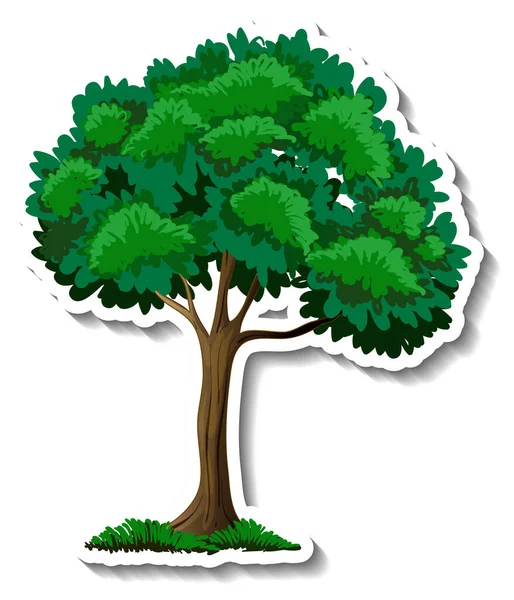 Ein Baum Mit Grünen Blättern Aufkleber Auf Weißem Hintergrund Illustration — Stockvektor