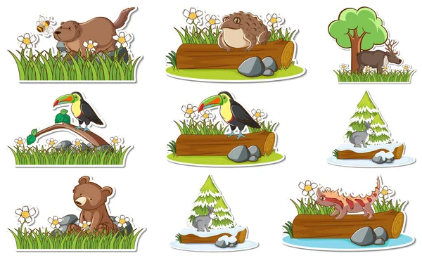 Aufkleber Set Mit Verschiedenen Wildtieren Und Naturelementen Illustration — Stockvektor