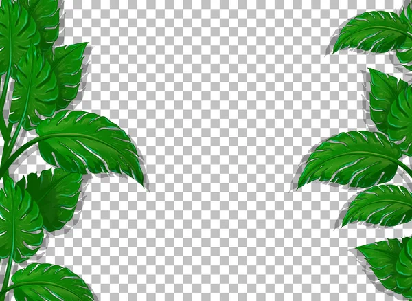 Varias Hojas Tropicales Sobre Fondo Transparente Ilustración — Vector de stock