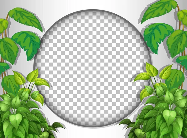 Cadre Rond Transparent Avec Illustration Modèle Feuilles Tropicales — Image vectorielle