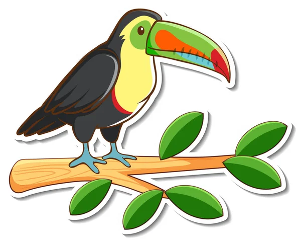 Bir Tukan Kuşu Bir Dal Etiketinin Üzerinde Duruyor — Stok Vektör