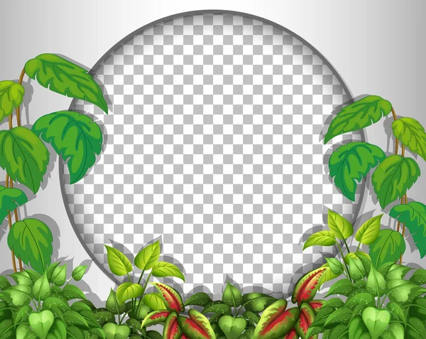 Ronde Frame Transparant Met Tropische Bladeren Template Illustratie — Stockvector