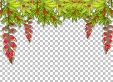 Şeffaf arkaplan resimlemesinde tropikal yapraklar çerçeve şablonu
