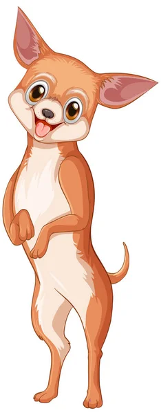 Chihuahua Pes Kreslený Bílém Pozadí Ilustrace — Stockový vektor