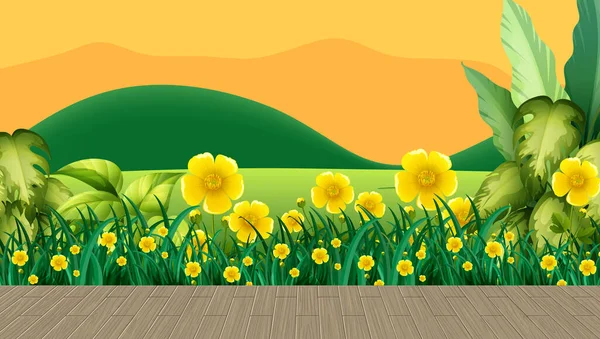 Blomma Fält Och Grönt Gräs Med Berg Bakgrund Vid Solnedgången — Stock vektor