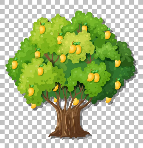 Árbol Mango Sobre Fondo Transparente Ilustración — Vector de stock