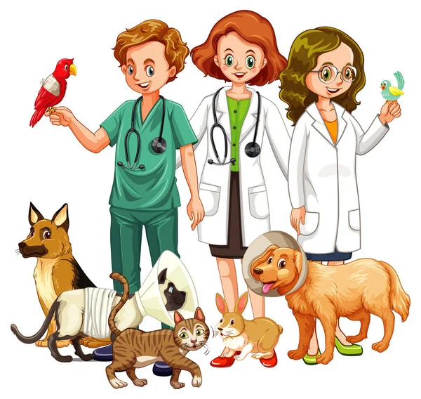 動物のイラストの多くの種類の獣医師 — ストックベクタ