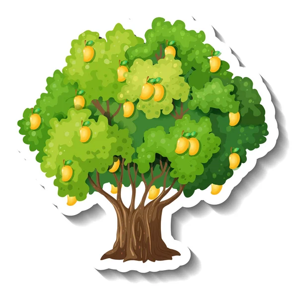 Mango Strom Nálepka Bílém Pozadí Ilustrace — Stockový vektor