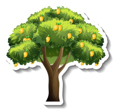 Beyaz arkaplan resimlerinde mango ağacı etiketi