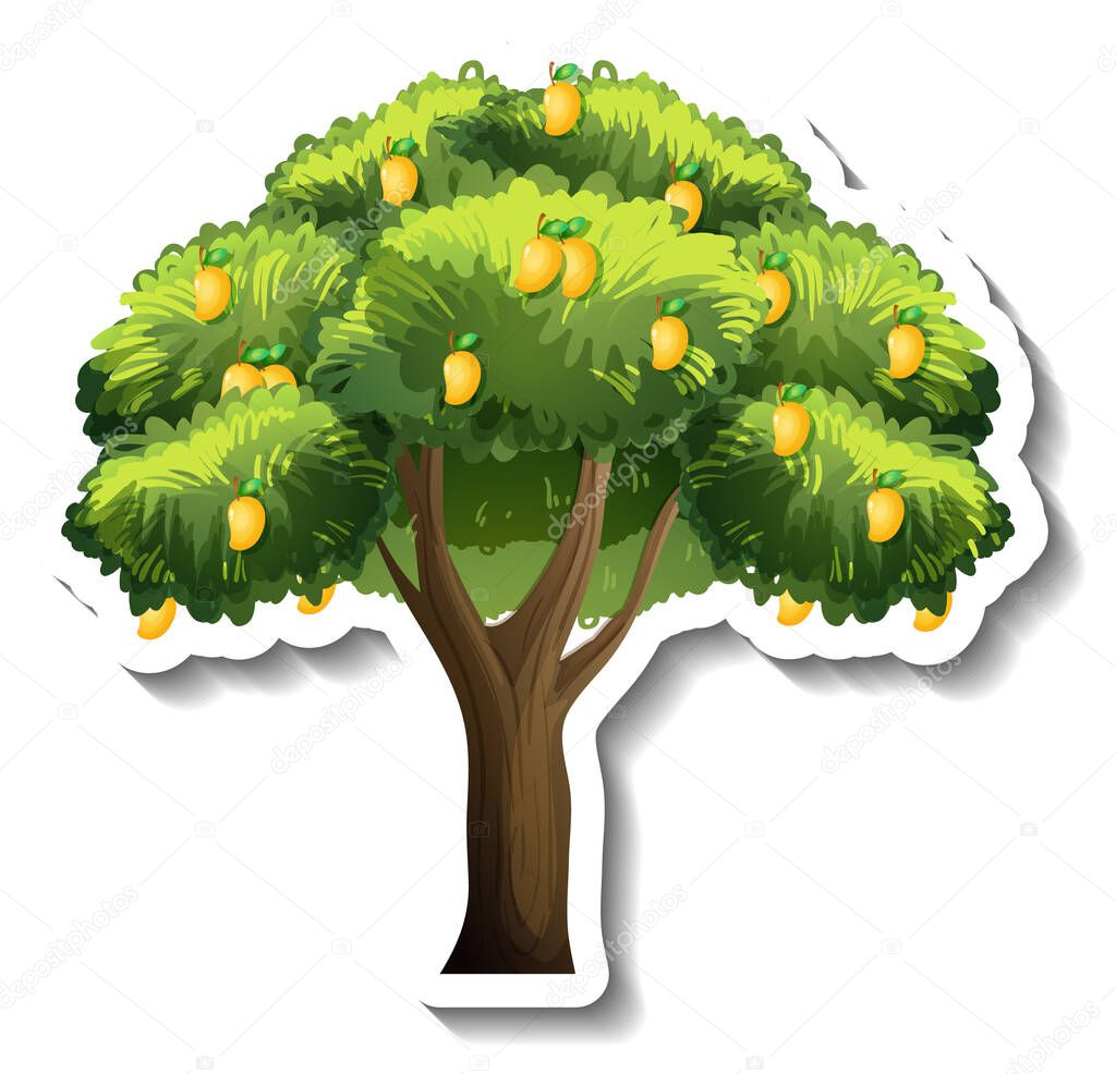 Mango tree sticker on white background illustration