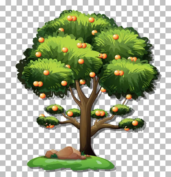 Arbre Orange Sur Fond Transparent Illustration — Image vectorielle