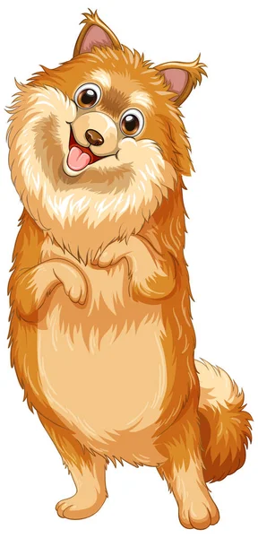 Pomeranian Pes Kreslený Bílém Pozadí Ilustrace — Stockový vektor