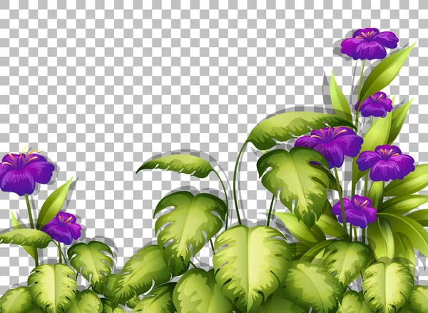 Fioletowy Kwiat Liście Ramki Szablon Przejrzystym Tle Ilustracji — Wektor stockowy