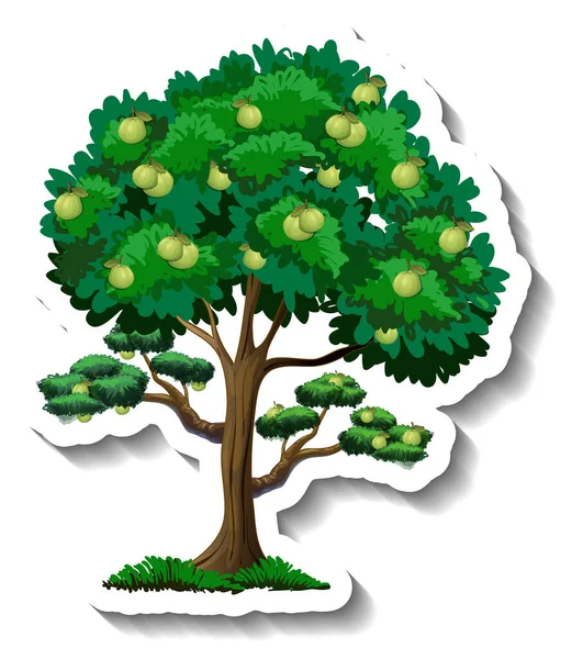 Guava Αυτοκόλλητο Δέντρο Λευκό Φόντο Εικονογράφηση — Διανυσματικό Αρχείο