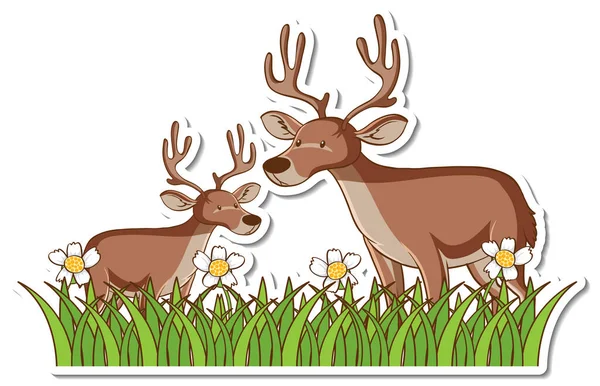 Two Deers Standing Grass Field Sticker Illustration — Stock Vector