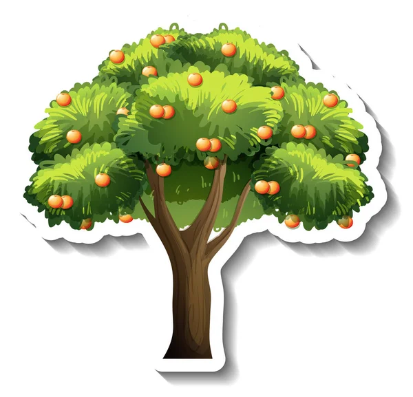 Orange Träd Klistermärke Vit Bakgrund Illustration — Stock vektor