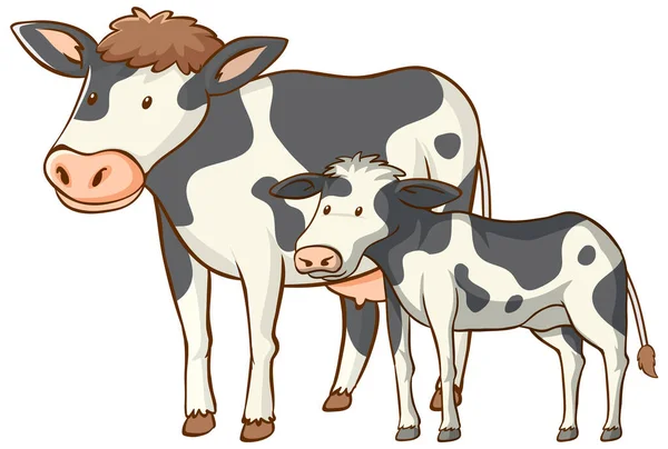 Mother Baby Cow Animal Cartoon White Background Illustration — Stock Vector