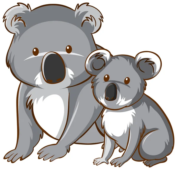 Madre Bebé Koala Oso Dibujos Animados Sobre Fondo Blanco Ilustración — Archivo Imágenes Vectoriales