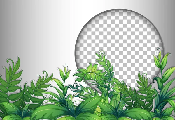 圆形框架透明 附有热带树叶模板说明 — 图库矢量图片