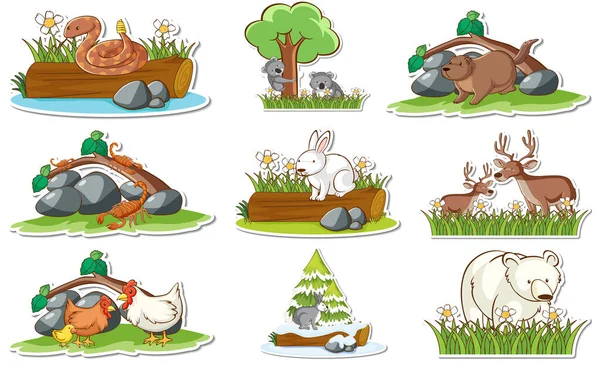 Conjunto Adesivos Com Diferentes Animais Selvagens Elementos Natureza Ilustração —  Vetores de Stock