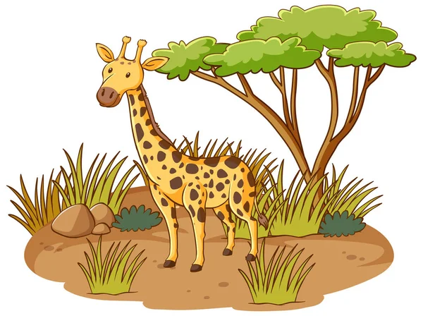 Żyrafa Lesie Sawanny Białym Tle Ilustracja — Wektor stockowy