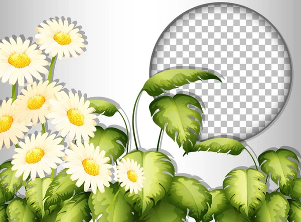 Ronde Frame Transparant Met Tropische Bloemen Bladeren Template Illustratie — Stockvector