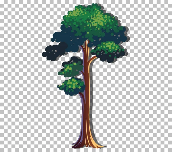 Árbol Con Hojas Verdes Sobre Fondo Transparente Ilustración — Vector de stock