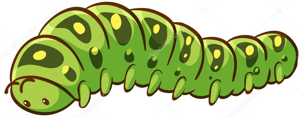 Caterpillar cartoon on white background illustration