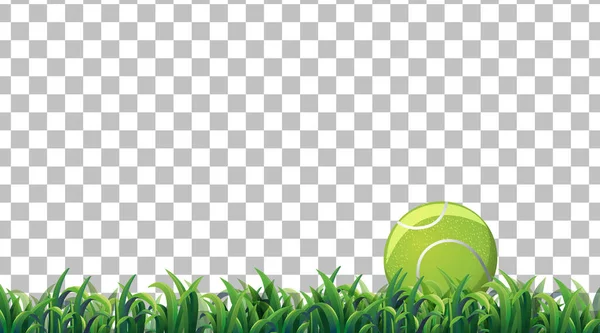 Tennis Bal Het Grasveld Transparante Achtergrond Illustratie — Stockvector