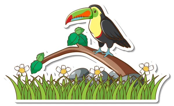 Toucan Bird Standing Branch Sticker Illustration — Stock Vector