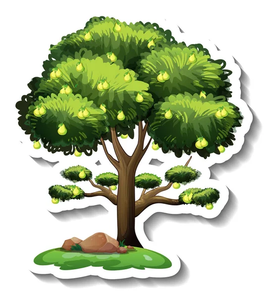 Pegatina Árbol Pera Sobre Fondo Blanco Ilustración — Vector de stock