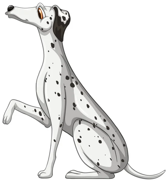 Dalmatinische Hund Karikatur Auf Weißem Hintergrund Illustration — Stockvektor