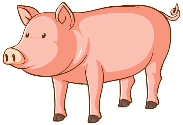 白色背景的可爱的猪卡通画 — 图库矢量图片
