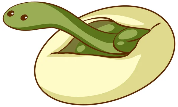 Green Snake Hatching Egg Illustration — Stock Vector
